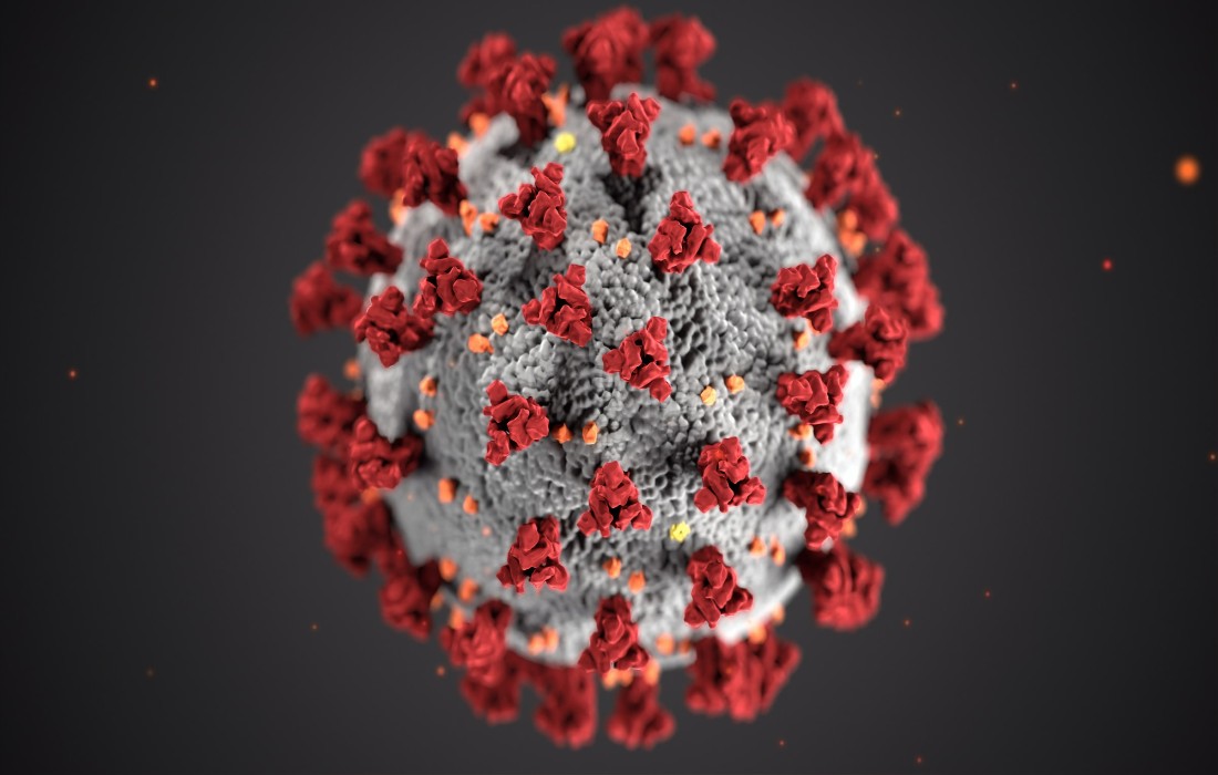 Javno - istrazivanja - Korona virus u Srbiji - trendovi i razvoj ...